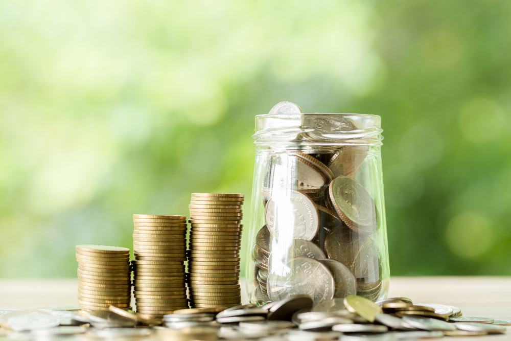 Master The Art Of Savings in Your Daily Life